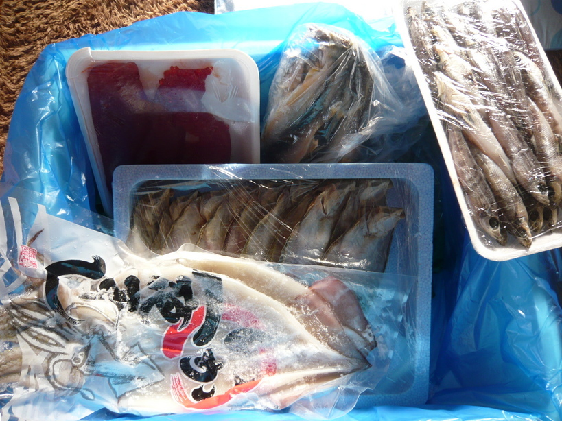 �����u�Ɨ����ĊJ���܂�