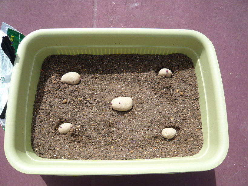 �����u�Ɨ����ĊJ���܂�