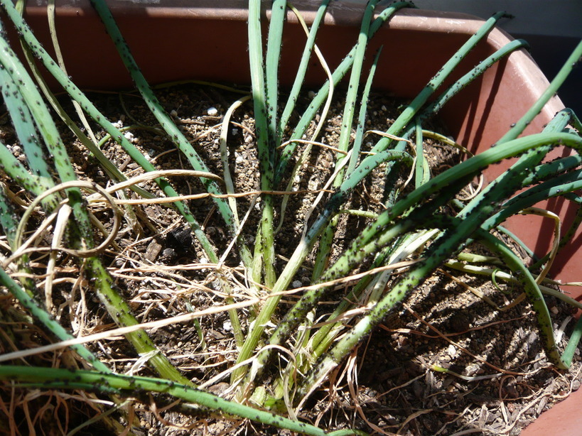 �����u�Ɨ����ĊJ���܂�