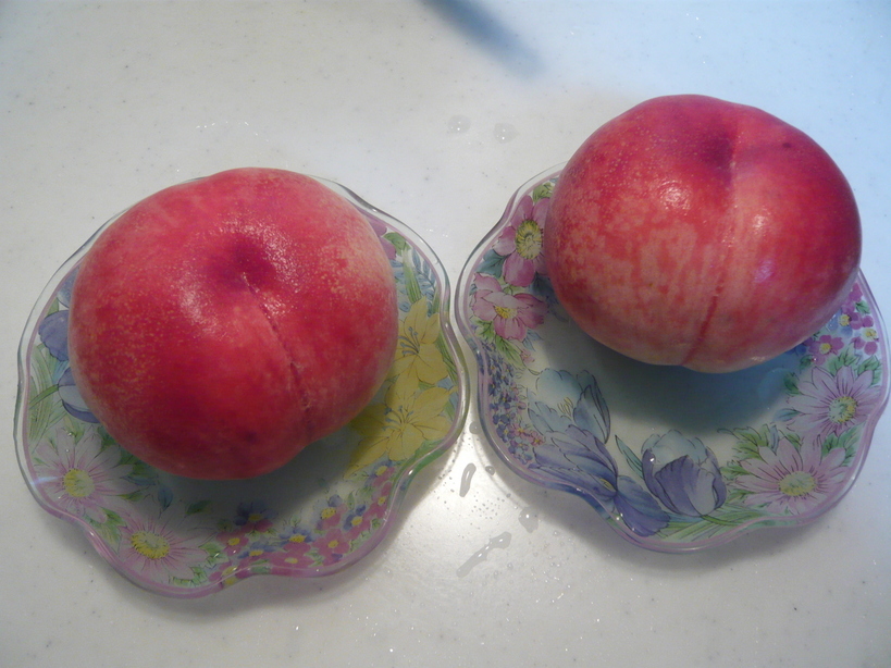 �����u�Ɨ����ĊJ���܂�