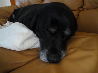 �����u�Ɨ����ĊJ���܂�