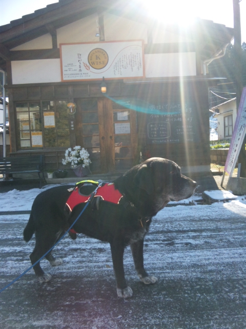 �����u�Ɨ����ĊJ���܂�