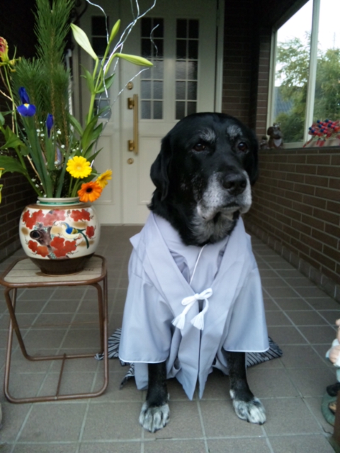 �����u�Ɨ����ĊJ���܂�