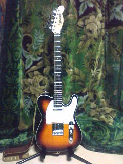 �Ö�S�����s�X�g���Y in �L�̊z�X�^�W�I