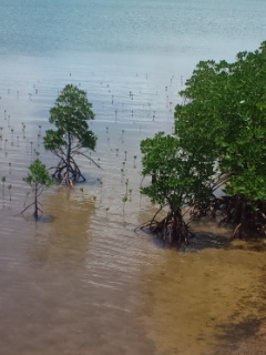 �Ԃ͂�������