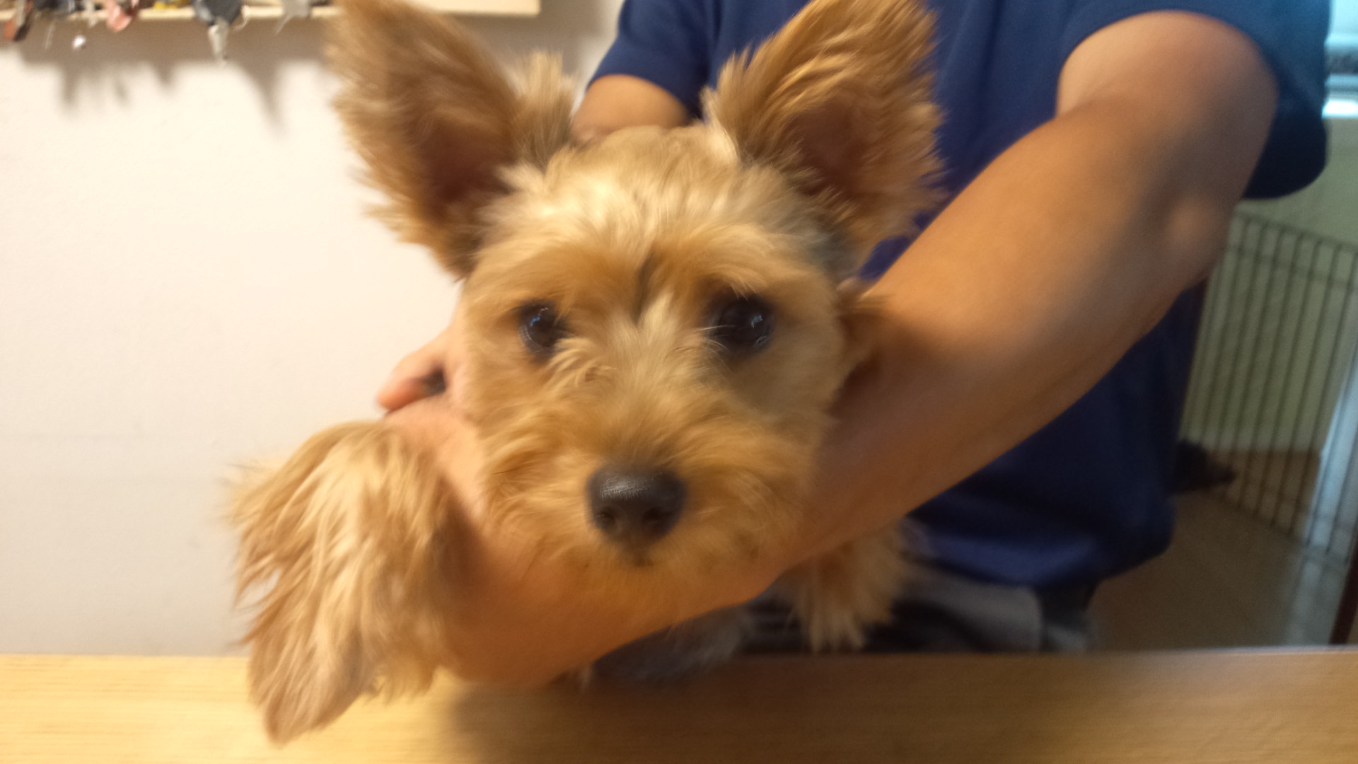 �Ԃ͂�������