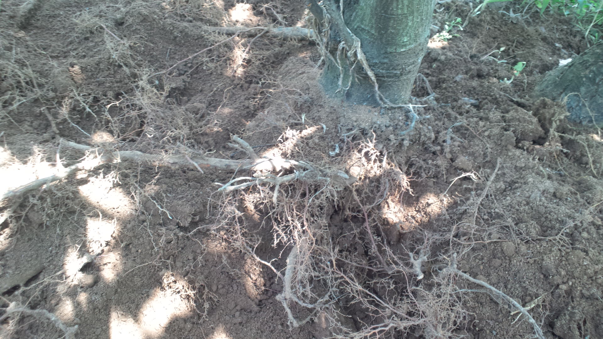 �Ԃ͂�������