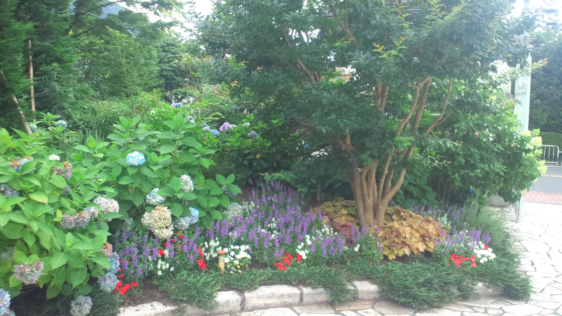 �Ԃ͂�������