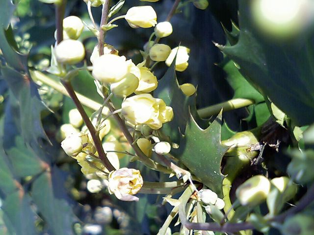 �G�ƕ��̒�