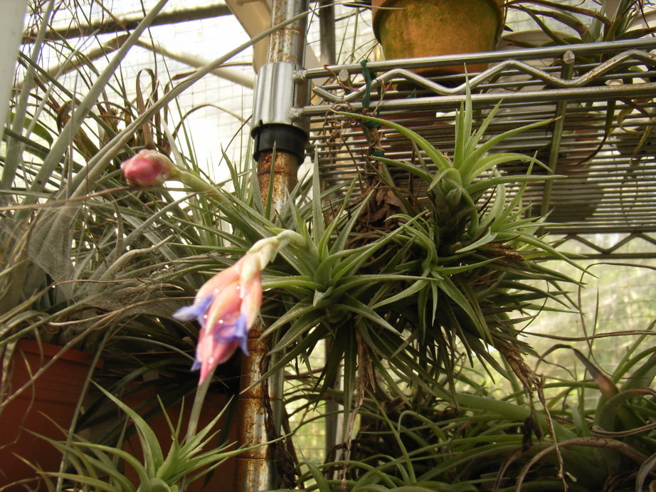 �`�����W�A�@de �@�`���o�J