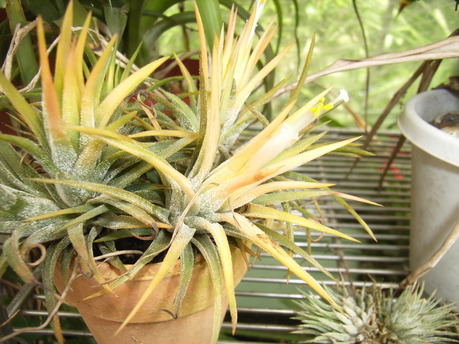 �`�����W�A�@de �@�`���o�J