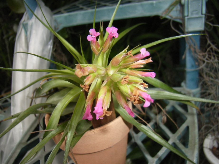 �`�����W�A�@de �@�`���o�J