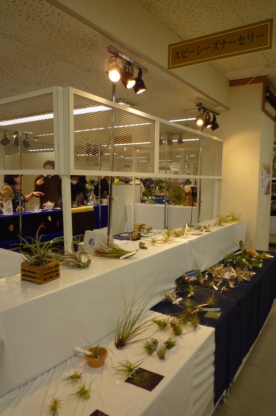 �`�����W�A�@de �@�`���o�J