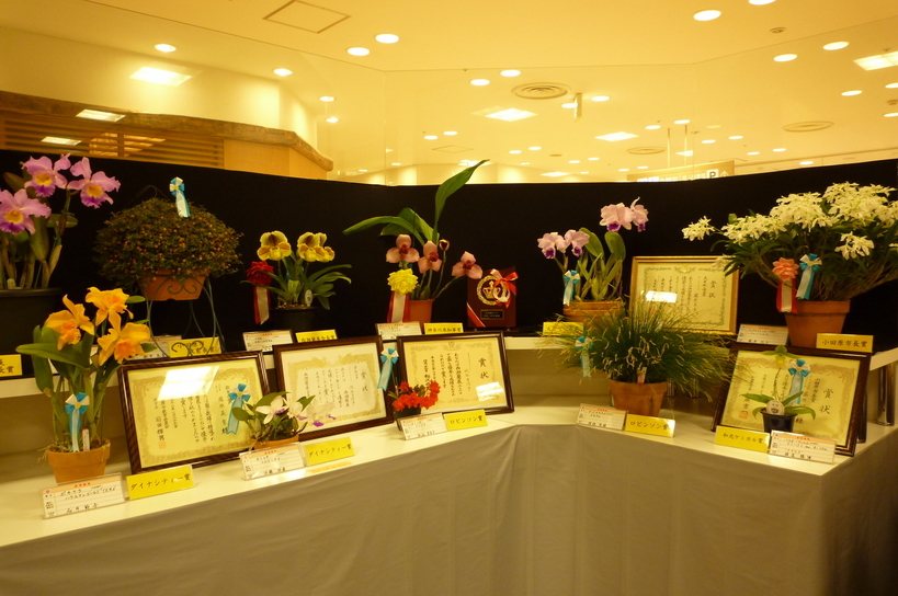 �`�����W�A�@de �@�`���o�J