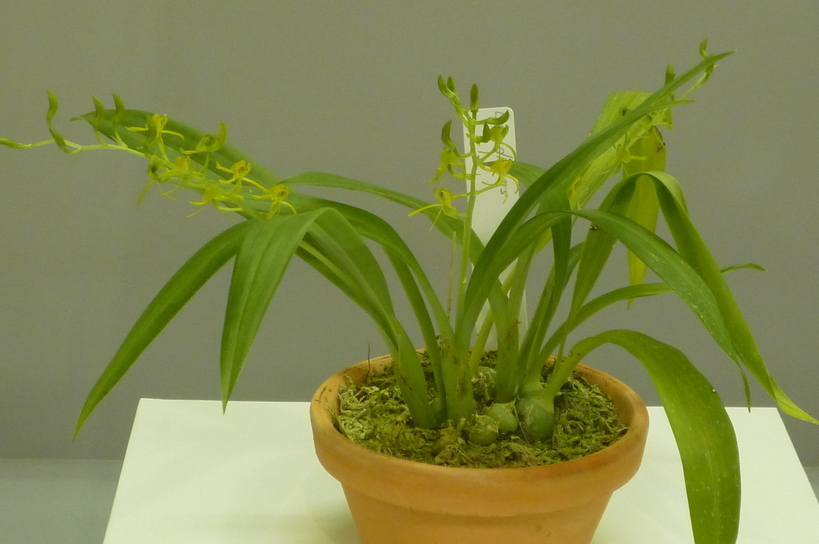 �`�����W�A�@de �@�`���o�J