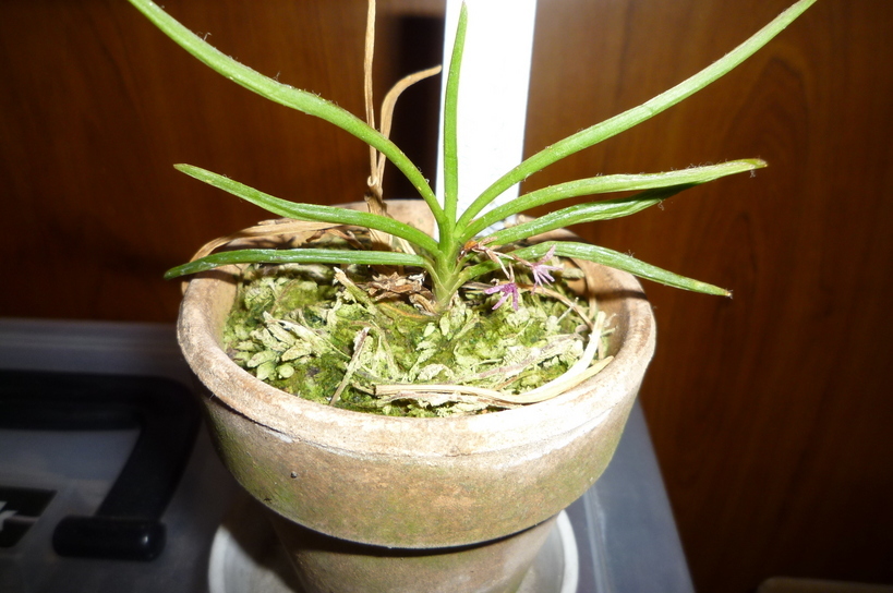 �`�����W�A�@de �@�`���o�J