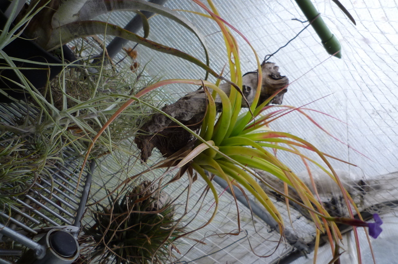 �`�����W�A�@de �@�`���o�J