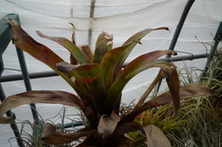 �`�����W�A�@de �@�`���o�J