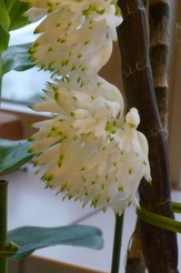 �`�����W�A�@de �@�`���o�J