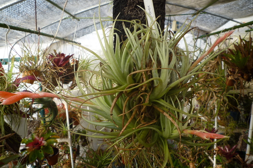 �`�����W�A�@de �@�`���o�J