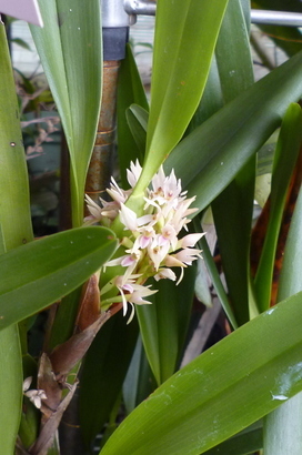 �`�����W�A�@de �@�`���o�J