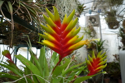 �`�����W�A�@de �@�`���o�J