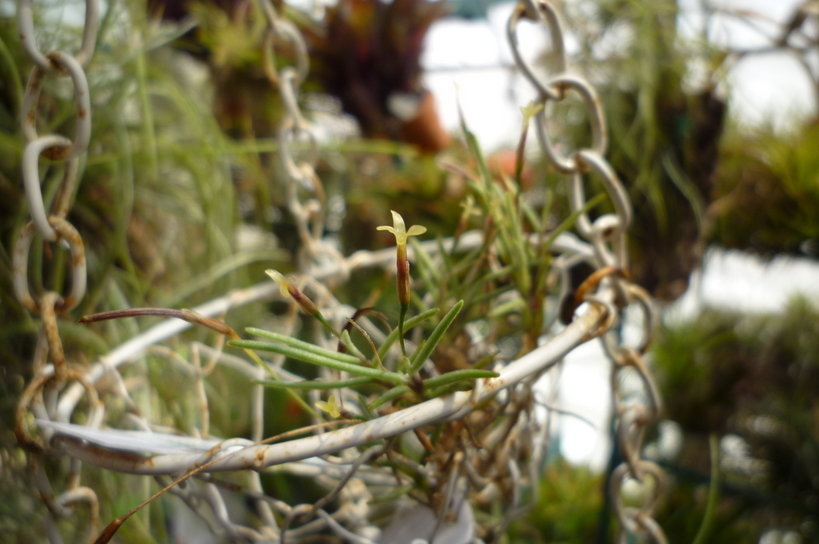 �`�����W�A�@de �@�`���o�J