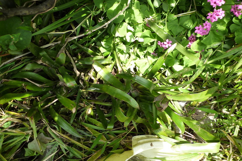 �`�����W�A�@de �@�`���o�J