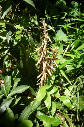 �`�����W�A�@de �@�`���o�J