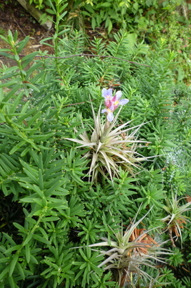 �`�����W�A�@de �@�`���o�J