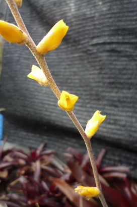 �`�����W�A�@de �@�`���o�J