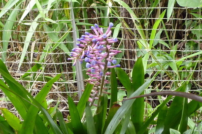 �`�����W�A�@de �@�`���o�J