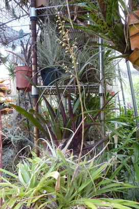 �`�����W�A�@de �@�`���o�J