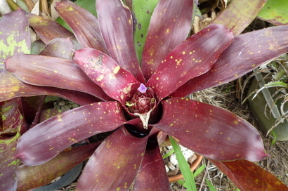 �`�����W�A�@de �@�`���o�J