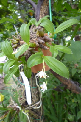 �`�����W�A�@de �@�`���o�J