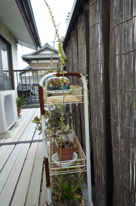 �`�����W�A�@de �@�`���o�J