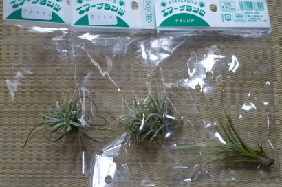 �`�����W�A�@de �@�`���o�J