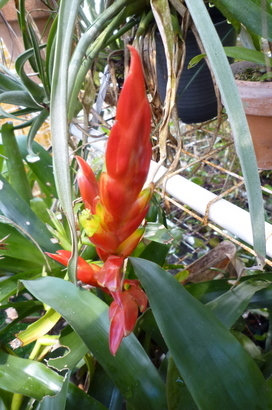 �`�����W�A�@de �@�`���o�J