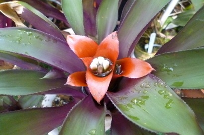 �`�����W�A�@de �@�`���o�J