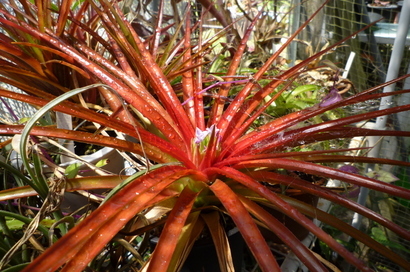 �`�����W�A�@de �@�`���o�J