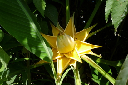 �`�����W�A�@de �@�`���o�J