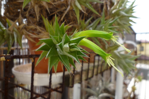 �`�����W�A�@de �@�`���o�J