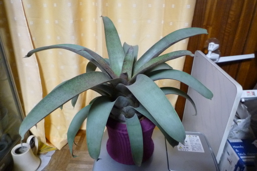 �`�����W�A�@de �@�`���o�J