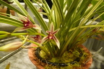 �`�����W�A�@de �@�`���o�J