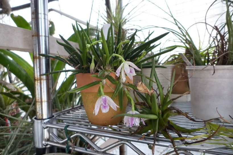 �`�����W�A�@de �@�`���o�J