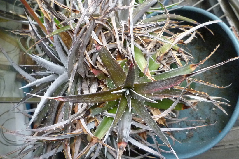 �`�����W�A�@de �@�`���o�J