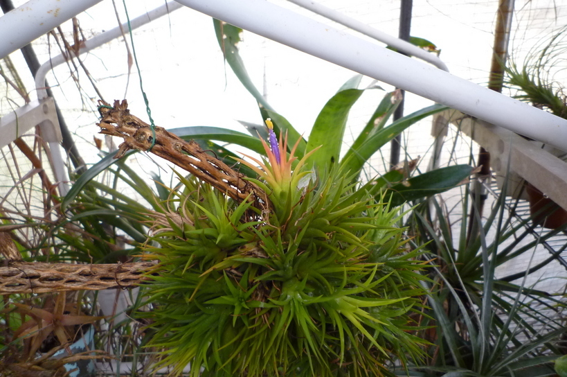 �`�����W�A�@de �@�`���o�J