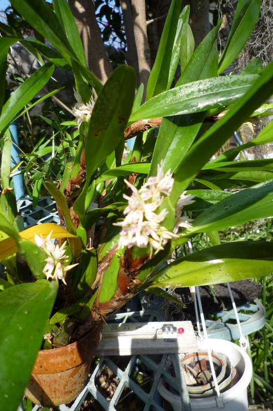 �`�����W�A�@de �@�`���o�J