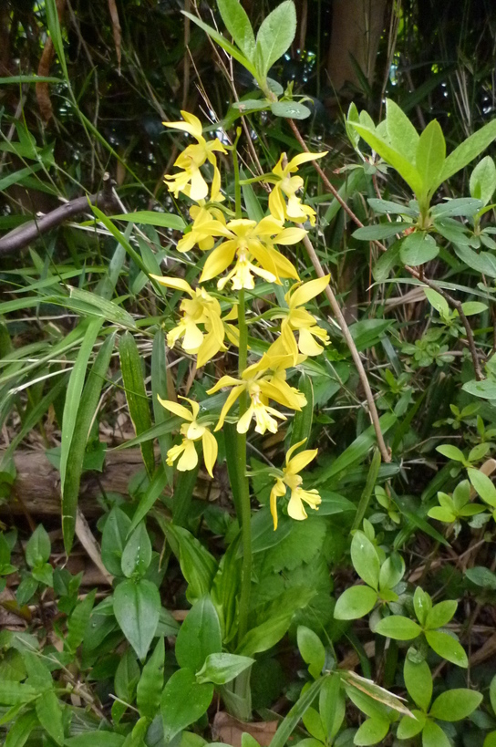 �`�����W�A�@de �@�`���o�J