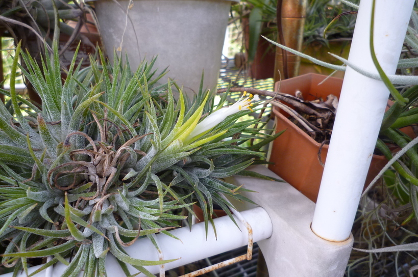 �`�����W�A�@de �@�`���o�J